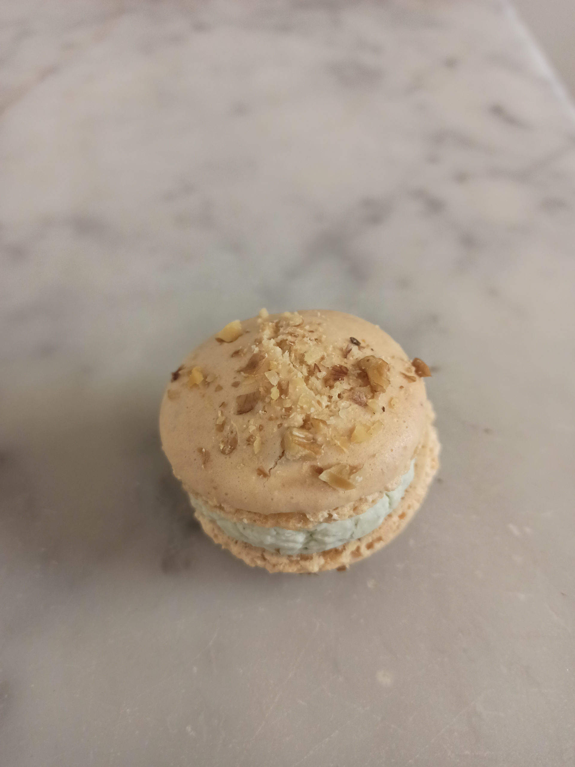 Macarons salé Roquefort / Noix