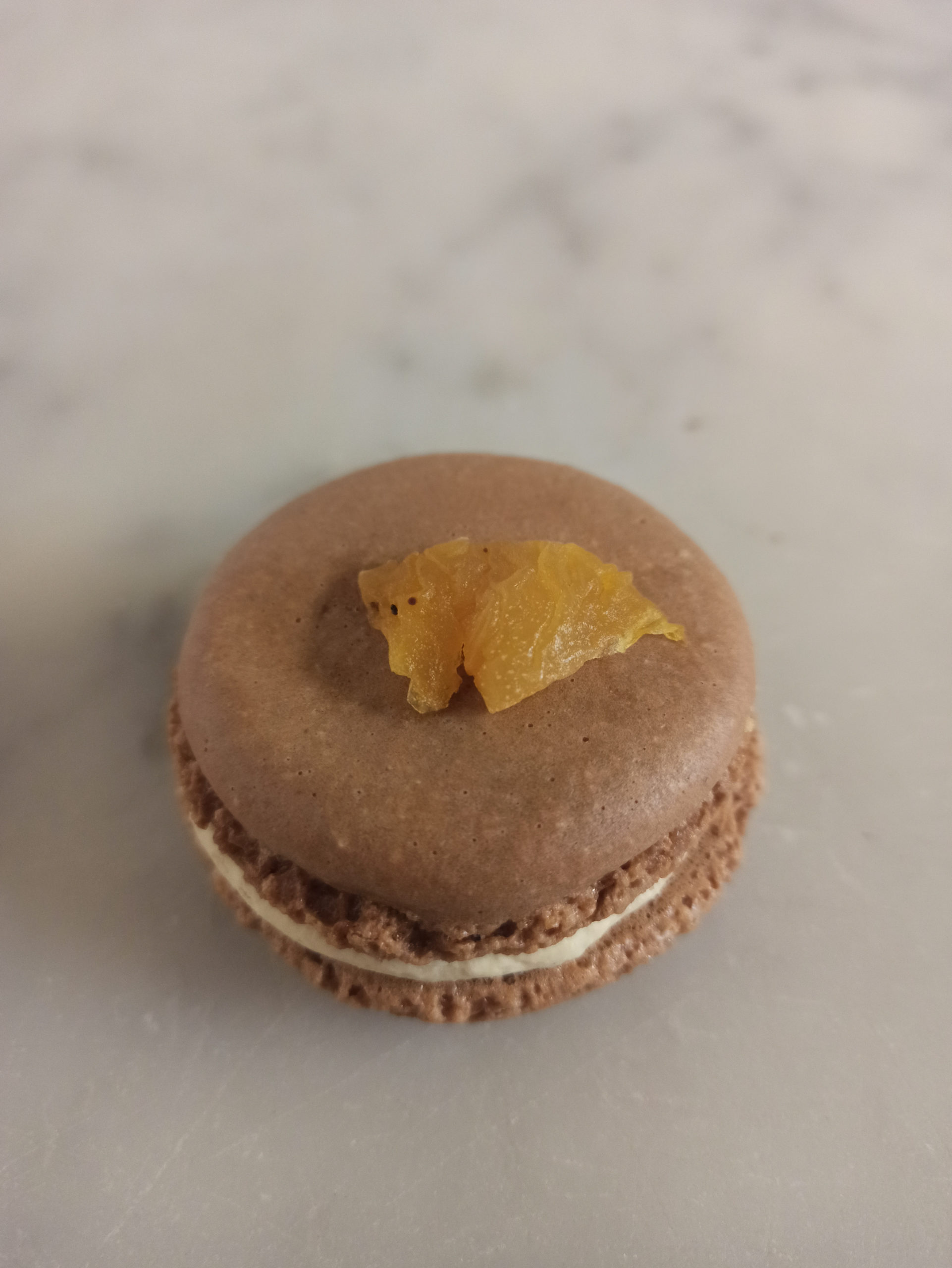 Macarons salé Foie gras Abricot