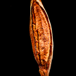 Baguette Duo 2 Blés