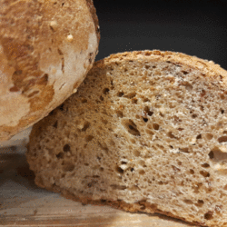 Epeautre aux graines